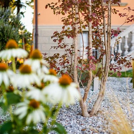 Ca' Delle Contesse - Villa On Lagoon With Private Dock And Spectacular View Венеция-Лидо Экстерьер фото